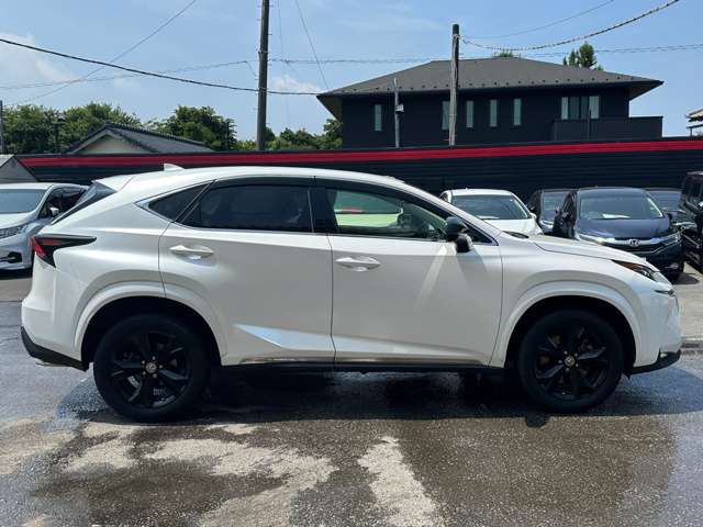 Lexus NX 11