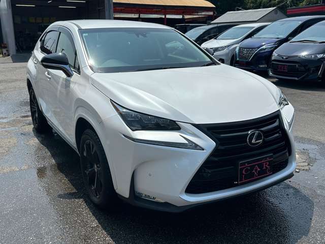 Lexus NX 10