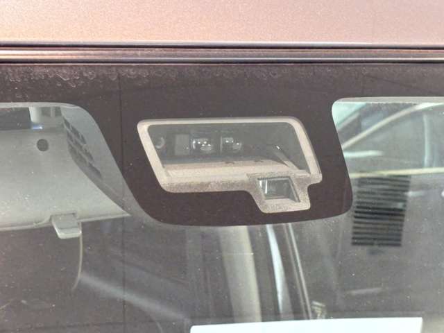 Suzuki XBEE 9