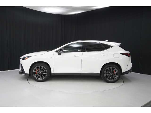 Lexus NX 4