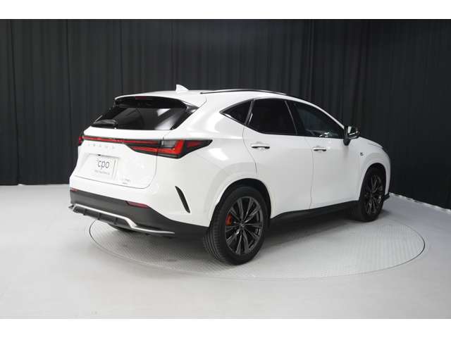Lexus NX 6