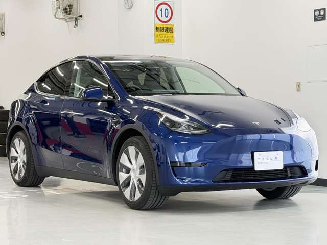 Tesla Model Y 10