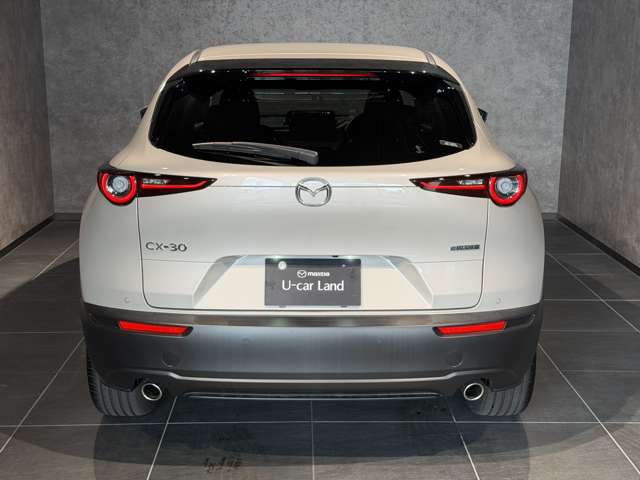 Mazda CX-30 6