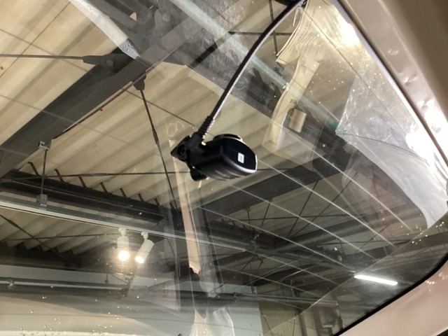 Suzuki XBEE 10