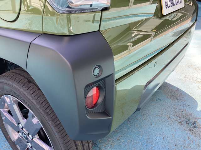Daihatsu Taft 11