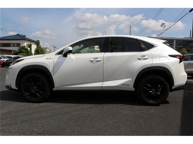 Lexus NX 11