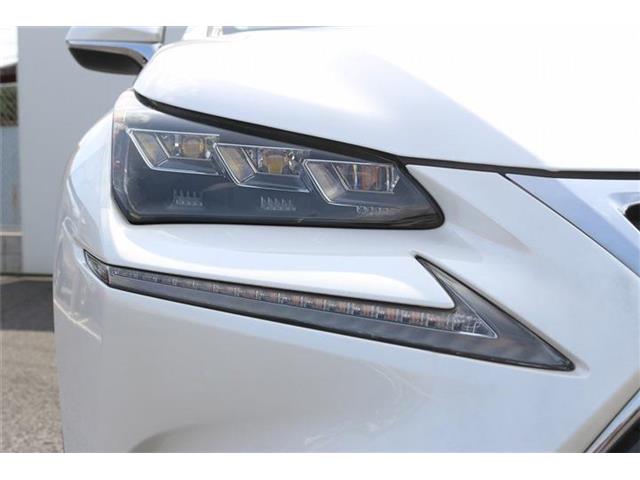 Lexus NX 12