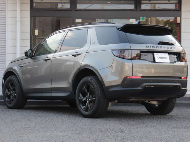 Land Rover Discovery Sport 10