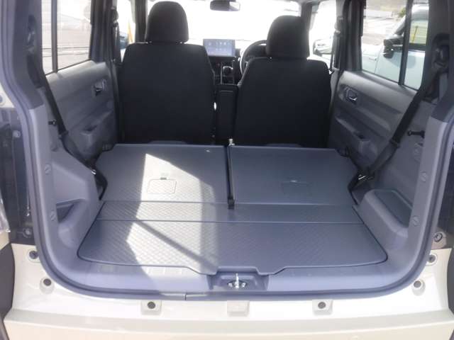 Daihatsu Taft 12