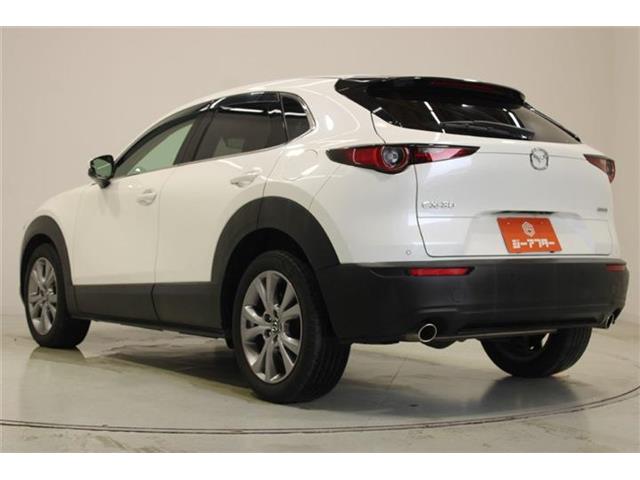 Mazda CX-30 11