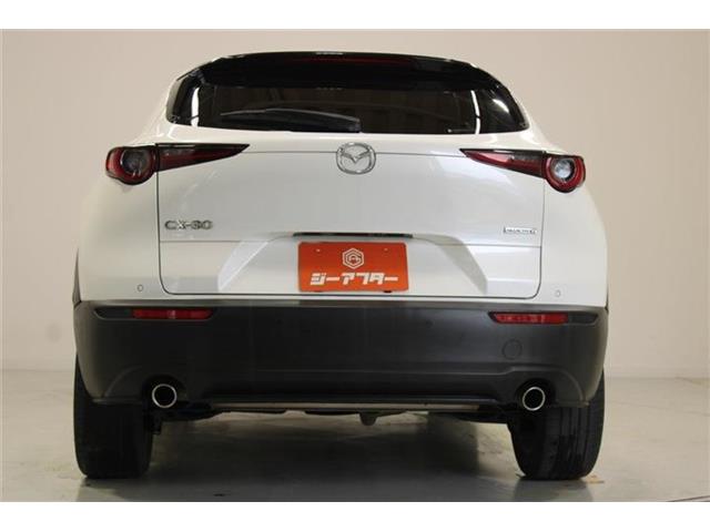 Mazda CX-30 12