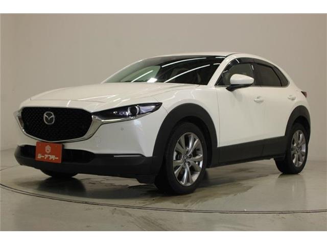 Mazda CX-30 9