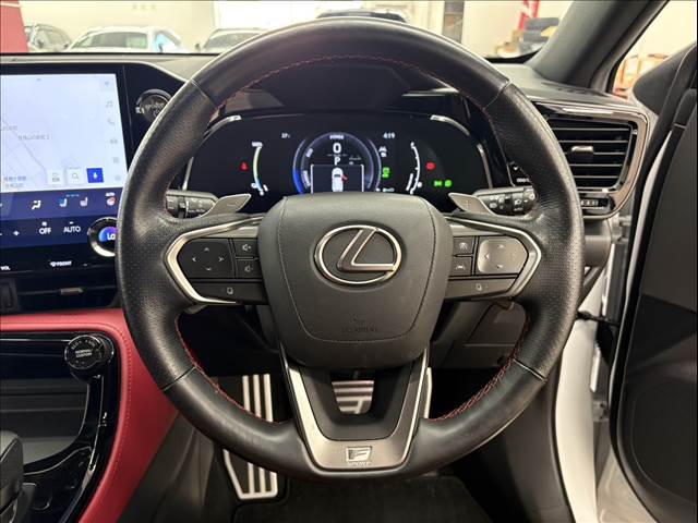 Lexus NX 11