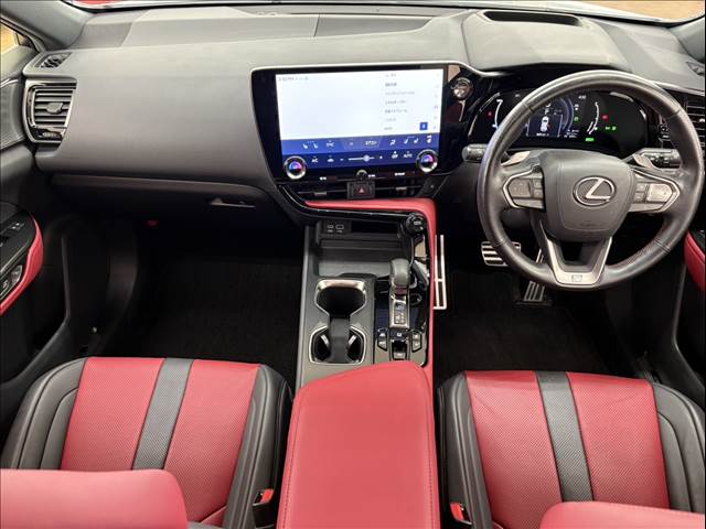 Lexus NX 4
