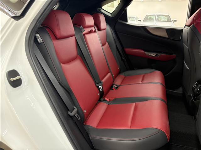 Lexus NX 9