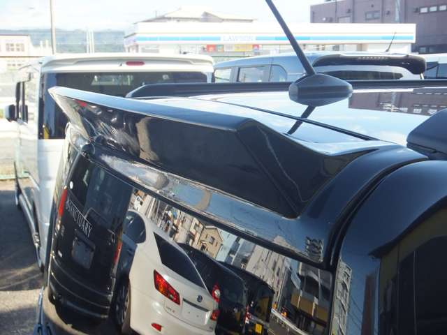 Daihatsu Taft 11