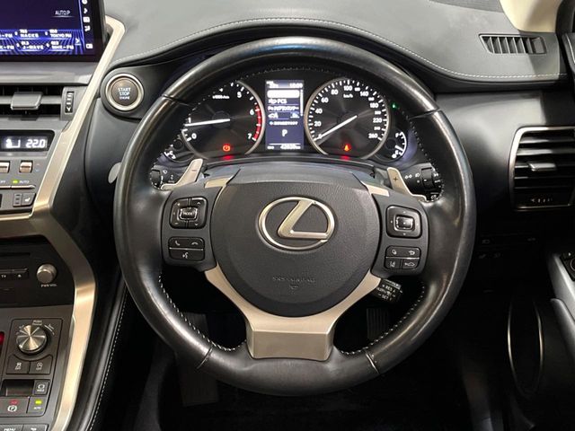 Lexus NX 11