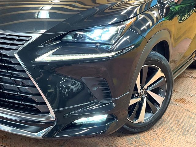 Lexus NX 12