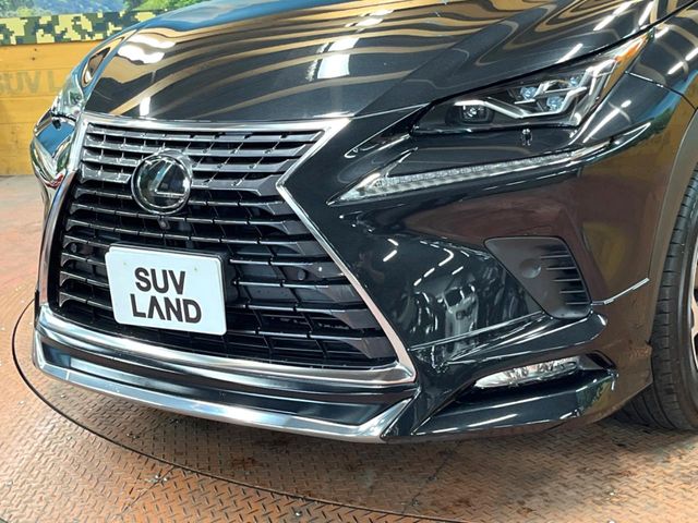 Lexus NX 3