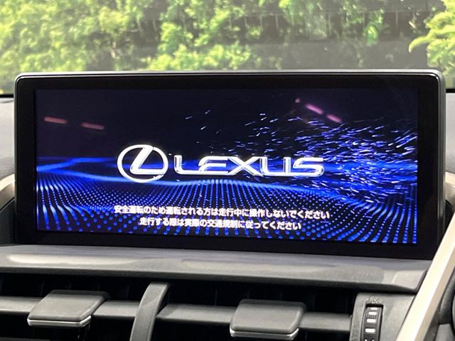 Lexus NX 5