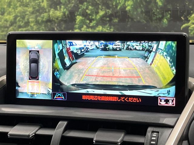 Lexus NX 6