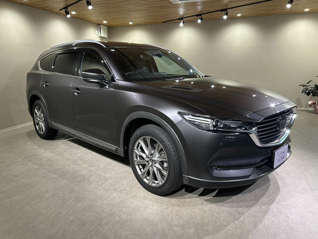 Mazda CX-8 11