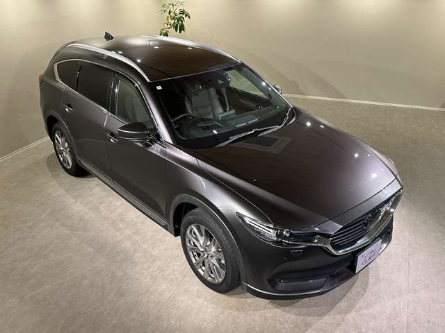 Mazda CX-8 12