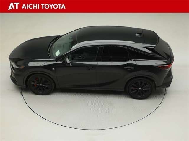 Lexus RX 11