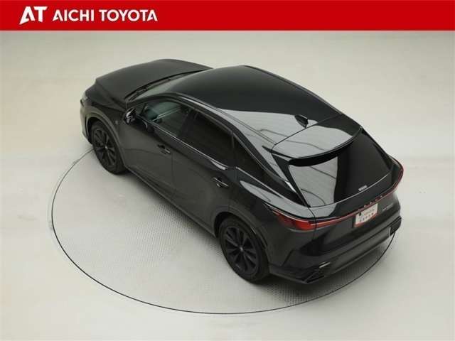 Lexus RX 12