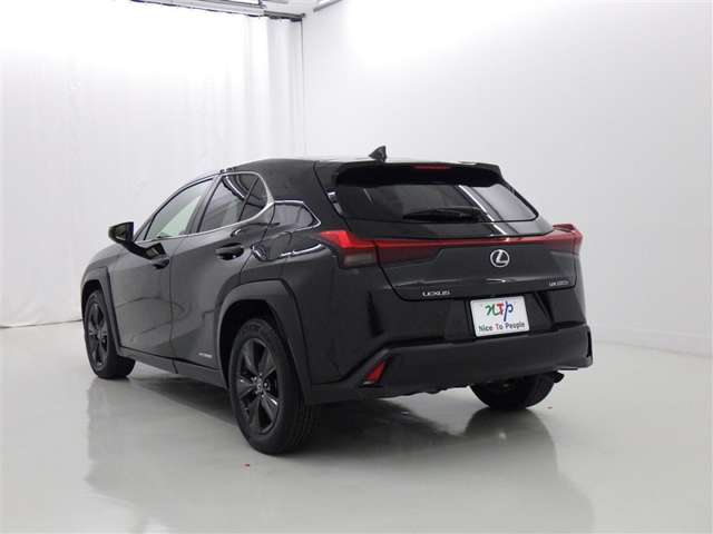 Lexus UX 6