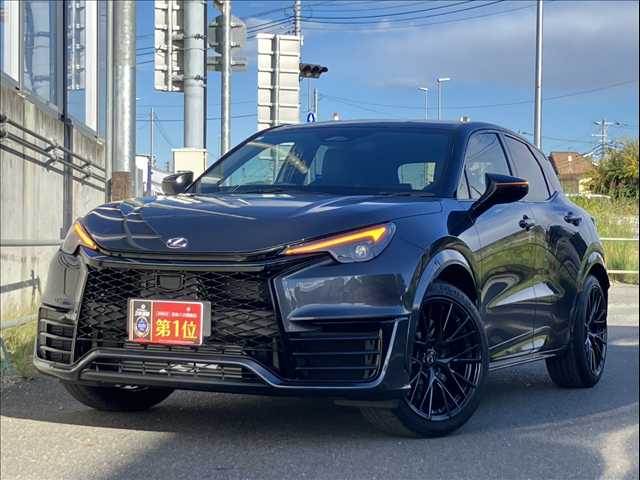 Lexus LBX 11