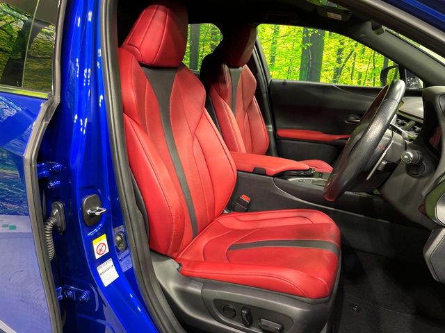Lexus UX 10