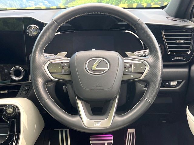Lexus NX 11