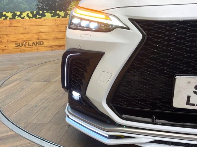 Lexus NX 12