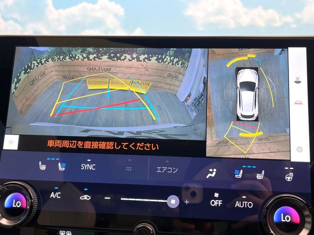 Lexus NX 4