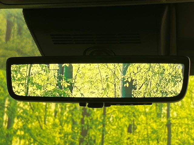 Toyota Alphard 6