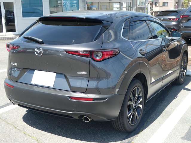 Mazda CX-30 6