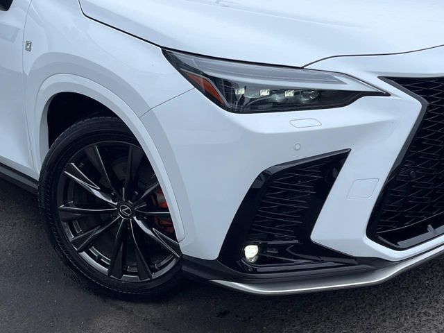 Lexus NX 12
