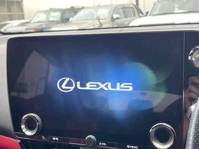 Lexus NX 4