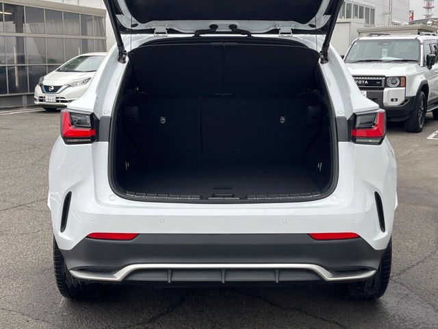 Lexus NX 10