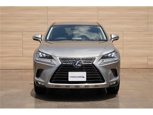 Lexus NX 11