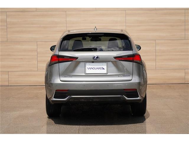 Lexus NX 12