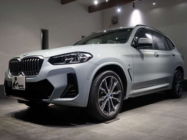 BMW X3 11