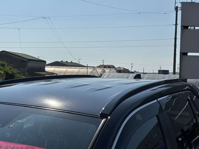 Toyota RAV4 PHV 8