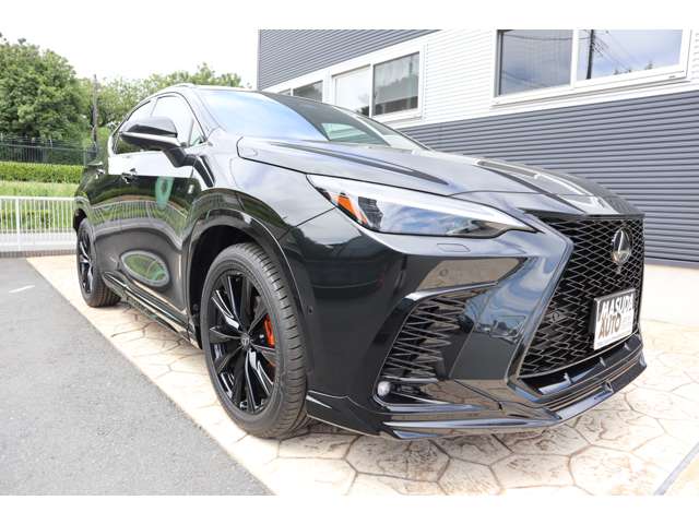 Lexus NX 3