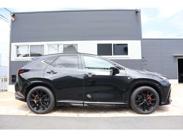 Lexus NX 4