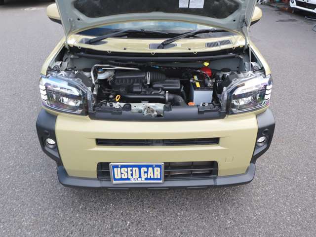 Daihatsu Taft 11