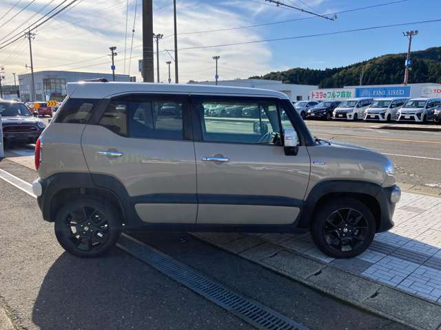 Suzuki XBEE 11