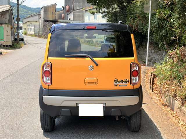 Suzuki Hustler 9