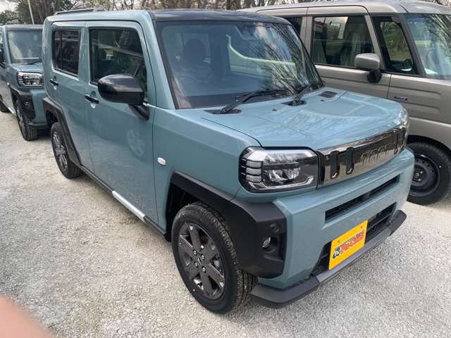 Daihatsu Taft 6